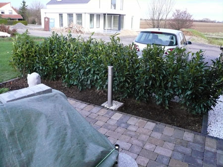 Unsere Kirschlorbeerhecke als Windschutz an der Terrasse Unsere Kirschlorbeerhecke als Windschutz an der Terrasse